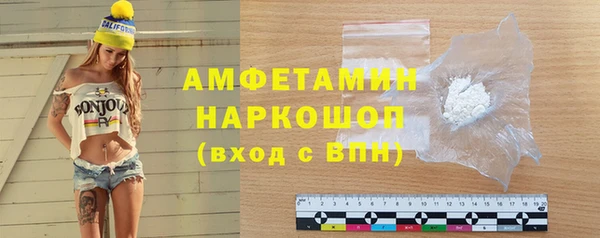 прущие грибы Магадан