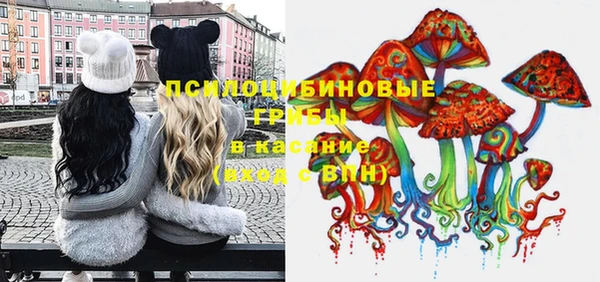 стафф Медногорск