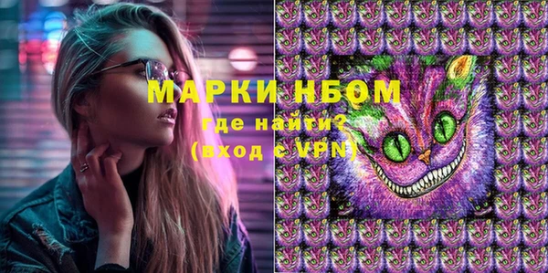 стафф Медногорск