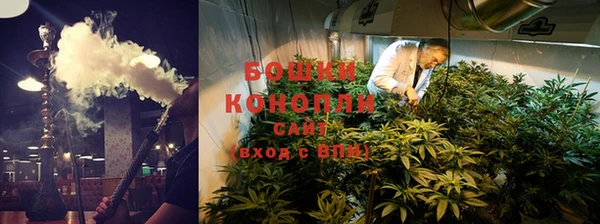 стафф Медногорск