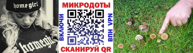 Псилоцибиновые грибы мухоморы Рыбинск